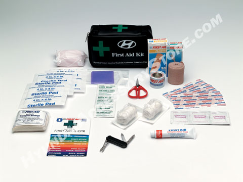You'll be ready for minor mishaps with this first aid kit that contains 