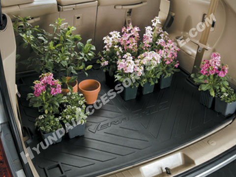 Hyundai_Veracruz_Cargo_Tray.jpg